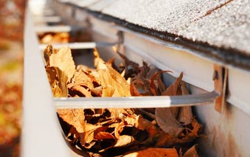 Winterhay Green gutter cleaning companies