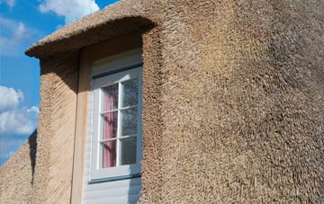 Winterhay Green thatch roof disadvantages